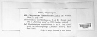 Image Associated With the Occurence